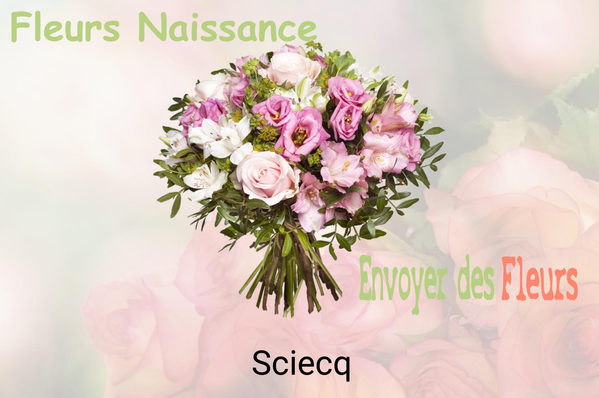 Bouquet de fleurs de naissance livré à Sciecq